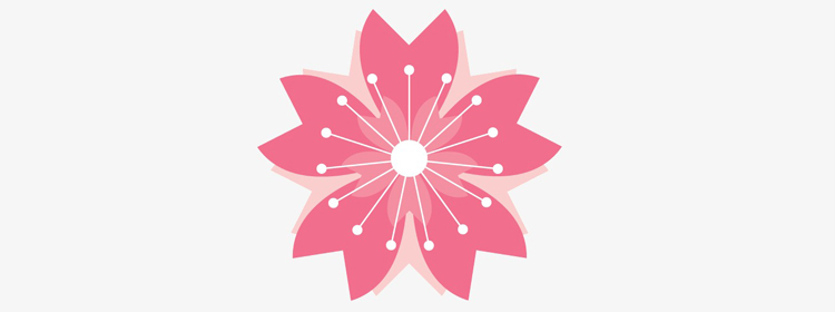 流星花