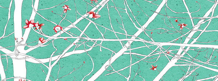 趣味科学童话——有比钢铁还硬的树吗？