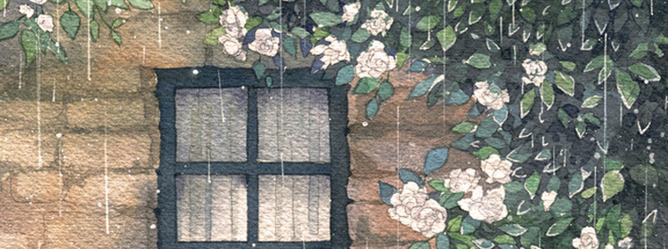 一个下雨天