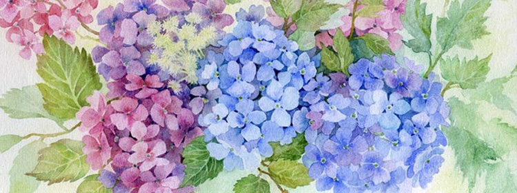 有可以变换颜色的花吗？