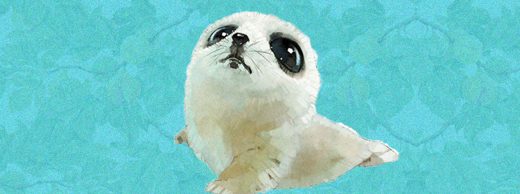 海豹萨米