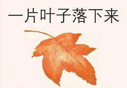 一片叶子落下来