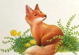 想做魔术师的牙牙