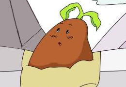 岩缝里的种子