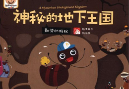 神秘的地下王国