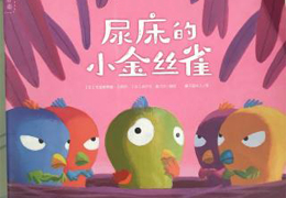 尿床的小金丝雀