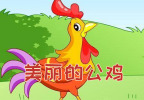 美丽的公鸡
