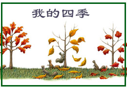 我的四季