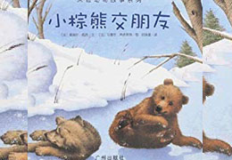 小棕熊交朋友