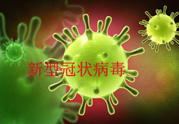 新型冠状病毒