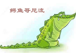 鳄鱼哥尼流